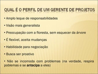 Amplo leque de responsabilidades Visão mais generalista Preocupação com a floresta, sem esquecer da árvore É flexível, aceita mudanças Habilidade para negociação Busca ser proativo Não se incomoda com problemas (na verdade, respira poblemas e se  antecipa  a eles) 