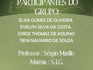 PARTICIPANTES DO GRUPO: ELISA GOMES DE OLIVEIRA  EVELYN SILVA DA COSTA  JORGE THOMAZ DE AQUINO TIENI NAVARRO DE SOUZA Professor : Sérgio Murillo Matéria : S.I.G. 