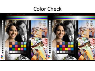 Color Check
 