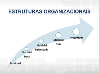 ESTRUTURAS ORGANIZACIONAIS




                                                 Projetizada
                                     Matricial
                         Matricial     forte
                        balanceada
            Matricial
              fraca

Funcional
 