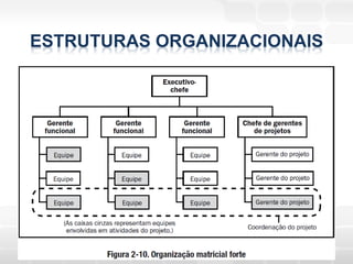 ESTRUTURAS ORGANIZACIONAIS
 