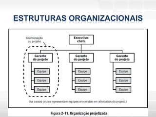 ESTRUTURAS ORGANIZACIONAIS
 