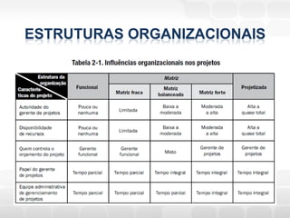 ESTRUTURAS ORGANIZACIONAIS
 