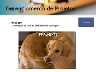 Gerenciamento de Projetos

• Produção                                     Produção

   Liberação de uso do ambiente de produção.
 
