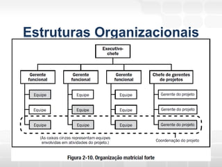 Estruturas Organizacionais
 