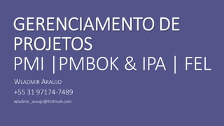 Gerenciamento de Projetos conforme Guia PMBOK 5 edição e FEL (IPA) - Case de Mineração