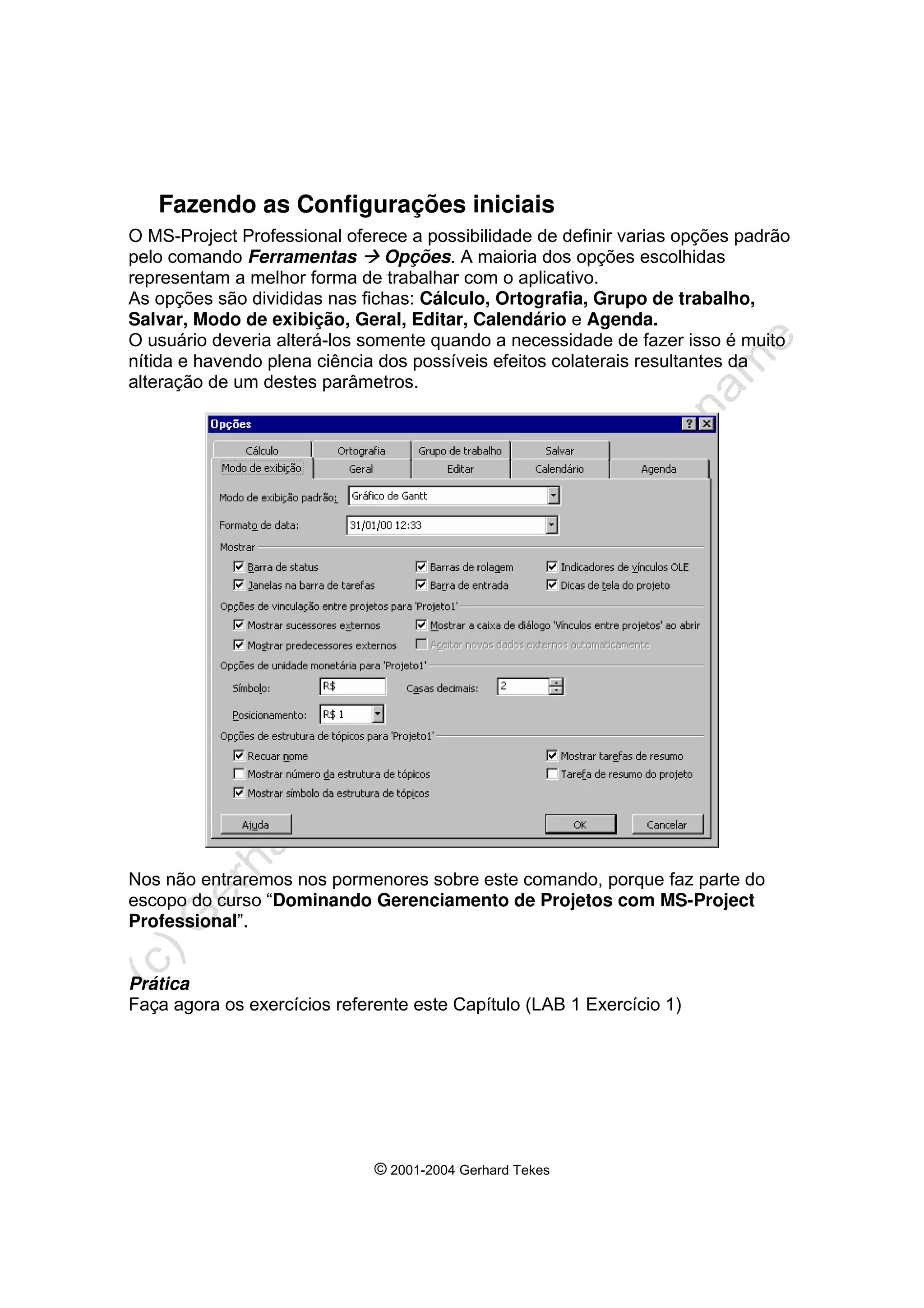 © 2001-2004 Gerhard Tekes
Fazendo as Configurações iniciais
O MS-Project Professional oferece a possibilidade de definir varias opções padrão
pelo comando Ferramentas Æ Opções. A maioria dos opções escolhidas
representam a melhor forma de trabalhar com o aplicativo.
As opções são divididas nas fichas: Cálculo, Ortografia, Grupo de trabalho,
Salvar, Modo de exibição, Geral, Editar, Calendário e Agenda.
O usuário deveria alterá-los somente quando a necessidade de fazer isso é muito
nítida e havendo plena ciência dos possíveis efeitos colaterais resultantes da
alteração de um destes parâmetros.
Nos não entraremos nos pormenores sobre este comando, porque faz parte do
escopo do curso “Dominando Gerenciamento de Projetos com MS-Project
Professional”.
Prática
Faça agora os exercícios referente este Capítulo (LAB 1 Exercício 1)
 