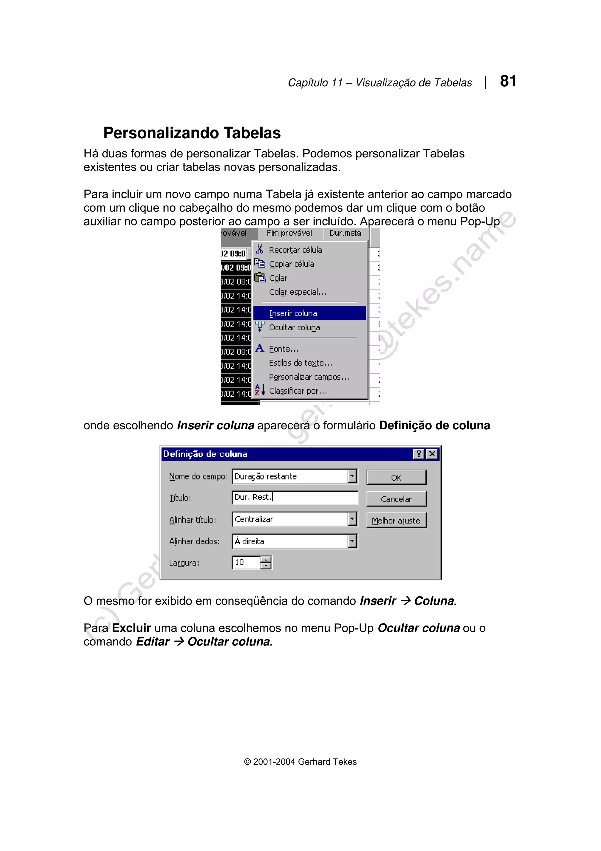 Capítulo 11 – Visualização de Tabelas | 81
© 2001-2004 Gerhard Tekes
Personalizando Tabelas
Há duas formas de personalizar Tabelas. Podemos personalizar Tabelas
existentes ou criar tabelas novas personalizadas.
Para incluir um novo campo numa Tabela já existente anterior ao campo marcado
com um clique no cabeçalho do mesmo podemos dar um clique com o botão
auxiliar no campo posterior ao campo a ser incluído. Aparecerá o menu Pop-Up
onde escolhendo Inserir coluna aparecerá o formulário Definição de coluna
O mesmo for exibido em conseqüência do comando Inserir Æ Coluna.
Para Excluir uma coluna escolhemos no menu Pop-Up Ocultar coluna ou o
comando Editar Æ Ocultar coluna.
 