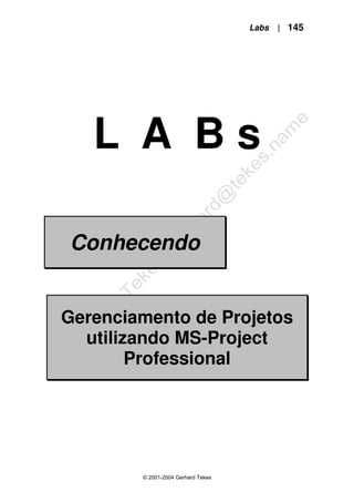 Labs | 145
© 2001-2004 Gerhard Tekes
L A B s
Conhecendo
Gerenciamento de Projetos
utilizando MS-Project
Professional
 