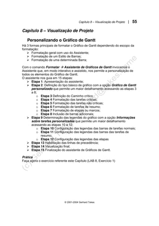 Capítulo 8 – Visualização de Projeto | 55
© 2001-2004 Gerhard Tekes
Capítulo 8 – Visualização de Projeto
Personalizando o Gráfico de Gantt
Há 3 formas principais de formatar o Gráfico de Gantt dependendo do escopo da
formatação:
¾ Formatação geral com uso do Assistente;
¾ Formatação de um Estilo de Barras;
¾ Formatação de uma determinada Barra;
Com o comando Formatar Æ Assistente de Gráficos de Gantt invocamos o
Assistente que, em modo interativo e assistido, nos permite a personalização de
todos os elementos do Gráfico de Gantt.
O assistente nos guia em 15 etapas:
¾ Etapa 1: Apresentação do assistente;
¾ Etapa 2: Definição do tipo básico de gráfico com a opção Gráfico de Gantt
personalizado que permite um maior detalhamento acessando as etapas 3
a 8;
o Etapa 3 Definição do Caminho crítico;
o Etapa 4 Formatação das tarefas críticas;
o Etapa 5 Formatação das tarefas não críticas;
o Etapa 6 Formatação de tarefas de resumo;
o Etapa 7 Formatação de etapas ou marcos;
o Etapa 8 Inclusão de barras adicionais;
¾ Etapa 9 Determinação das legendas do gráfico com a opção Informações
sobre tarefas personalizadas que permite um maior detalhamento
acessando as etapas 10 a 12;
o Etapa 10 Configuração das legendas das barras de tarefas normais;
o Etapa 11 Configuração das legendas das barras das tarefas de
resumo;
o Etapa 12 Configuração das legendas das etapas
¾ Etapa 13 Habilitação das linhas de precedência;
¾ Etapa 14 Visualização final;
¾ Etapa 15 Finalização do assistente de Gráficos de Gantt.
Prática
Faça agora o exercício referente este Capítulo (LAB 8, Exercício 1)
 