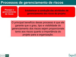 Gerenciamento de riscos em projetos de TI | PDF