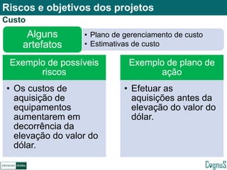 Gerenciamento de riscos em projetos de TI | PDF