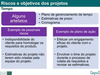 Gerenciamento de riscos em projetos de TI | PDF