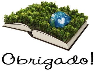 Gerenciamento de rss