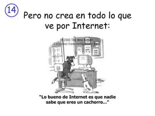 Pero no crea en todo lo que ve por Internet: “ Lo bueno de Internet es que nadie sabe que eres un cachorro...” 