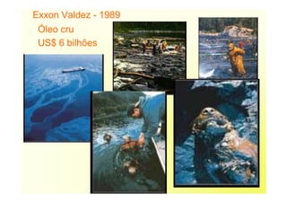 Exxon Valdez - 1989
Óleo cru
US$ 6 bilhões
 