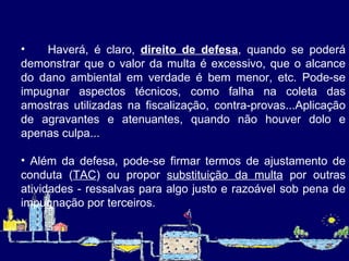 Haverá, é claro,  direito de defesa , quando se poderá demonstrar que o valor da multa é excessivo, que o alcance do dano ambiental em verdade é bem menor, etc. Pode-se impugnar aspectos técnicos, como falha na coleta das amostras utilizadas na fiscalização, contra-provas...Aplicação de agravantes e atenuantes, quando não houver dolo e apenas culpa... Além da defesa, pode-se firmar termos de ajustamento de conduta ( TAC ) ou propor  substituição da multa  por outras atividades - ressalvas para algo justo e razoável sob pena de impugnação por terceiros.   