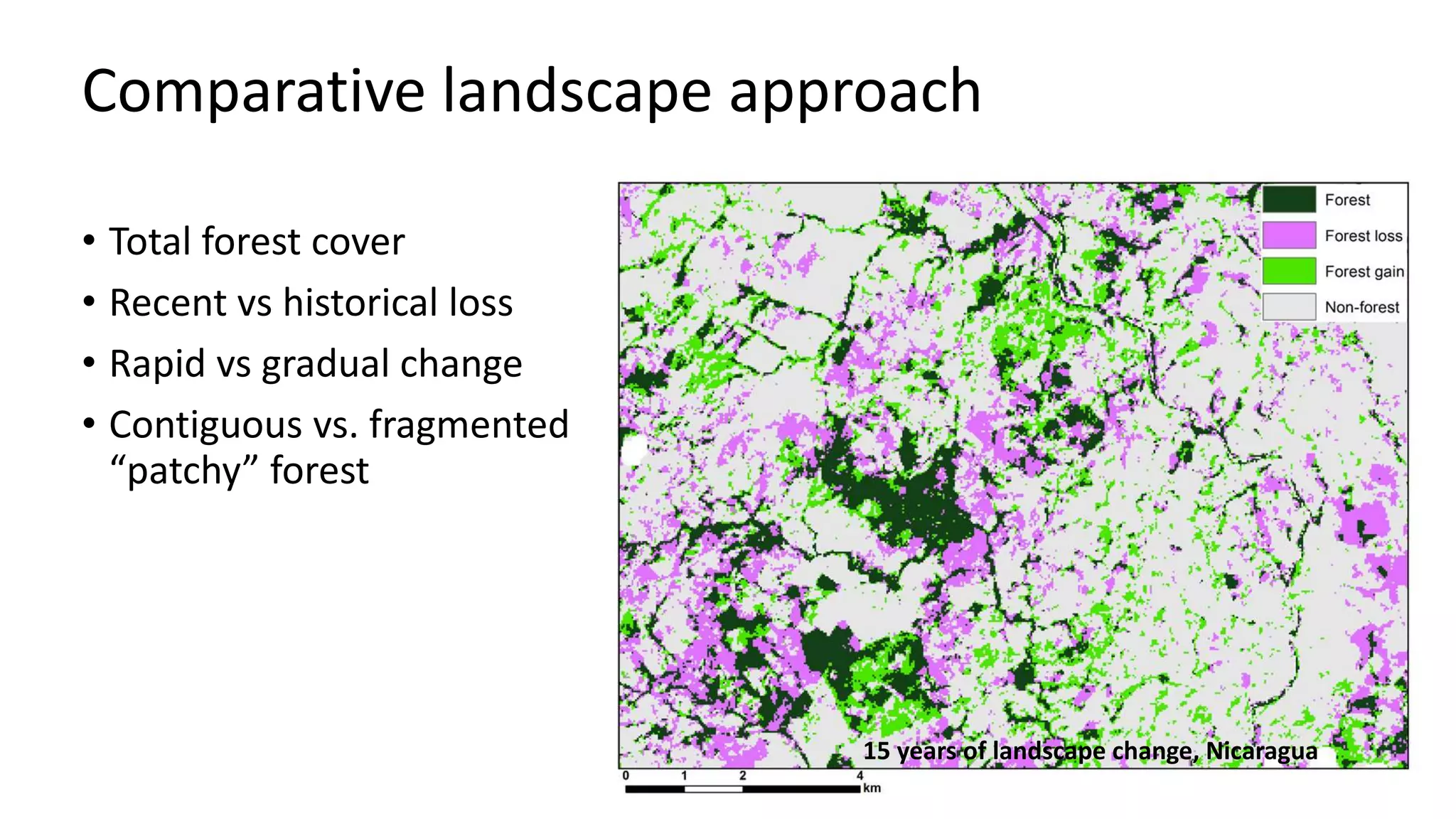 Comparative landscape approach
• Total forest cover
• Recent vs historical loss
• Rapid vs gradual change
• Contiguous vs. fragmented
“patchy” forest
15 years of landscape change, Nicaragua
 