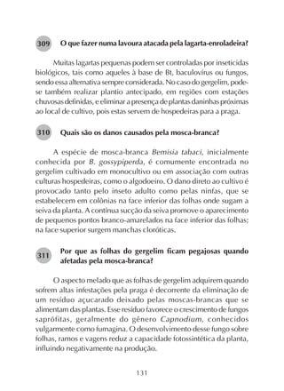 131
O que fazer numa lavoura atacada pela lagarta-enroladeira?
Muitas lagartas pequenas podem ser controladas por inseticidas
biológicos, tais como aqueles à base de Bt, baculovírus ou fungos,
sendo essa alternativa sempre considerada. No caso do gergelim, pode-
se também realizar plantio antecipado, em regiões com estações
chuvosas definidas, e eliminar a presença de plantas daninhas próximas
ao local de cultivo, pois estas servem de hospedeiras para a praga.
Quais são os danos causados pela mosca-branca?
A espécie de mosca-branca Bemisia tabaci, inicialmente
conhecida por B. gossypiperda, é comumente encontrada no
gergelim cultivado em monocultivo ou em associação com outras
culturas hospedeiras, como o algodoeiro. O dano direto ao cultivo é
provocado tanto pelo inseto adulto como pelas ninfas, que se
estabelecem em colônias na face inferior das folhas onde sugam a
seiva da planta. A contínua sucção da seiva promove o aparecimento
de pequenos pontos branco-amarelados na face inferior das folhas;
na face superior surgem manchas cloróticas.
Por que as folhas do gergelim ficam pegajosas quando
afetadas pela mosca-branca?
O aspecto melado que as folhas de gergelim adquirem quando
sofrem altas infestações pela praga é decorrente da eliminação de
um resíduo açucarado deixado pelas moscas-brancas que se
alimentam das plantas. Esse resíduo favorece o crescimento de fungos
saprófitas, geralmente do gênero Capnodium, conhecidos
vulgarmente como fumagina. O desenvolvimento desse fungo sobre
folhas, ramos e vagens reduz a capacidade fotossintética da planta,
influindo negativamente na produção.
282309
282310
282311
 