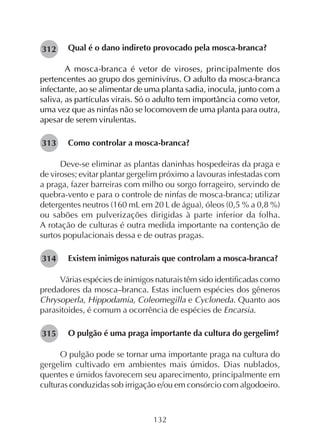 132
Qual é o dano indireto provocado pela mosca-branca?
A mosca-branca é vetor de viroses, principalmente dos
pertencentes ao grupo dos geminivírus. O adulto da mosca-branca
infectante, ao se alimentar de uma planta sadia, inocula, junto com a
saliva, as partículas virais. Só o adulto tem importância como vetor,
uma vez que as ninfas não se locomovem de uma planta para outra,
apesar de serem virulentas.
Como controlar a mosca-branca?
Deve-se eliminar as plantas daninhas hospedeiras da praga e
de viroses; evitar plantar gergelim próximo a lavouras infestadas com
a praga, fazer barreiras com milho ou sorgo forrageiro, servindo de
quebra-vento e para o controle de ninfas de mosca-branca; utilizar
detergentes neutros (160 mL em 20 L de água), óleos (0,5 % a 0,8 %)
ou sabões em pulverizações dirigidas à parte inferior da folha.
A rotação de culturas é outra medida importante na contenção de
surtos populacionais dessa e de outras pragas.
Existem inimigos naturais que controlam a mosca-branca?
Várias espécies de inimigos naturais têm sido identificadas como
predadores da mosca–branca. Estas incluem espécies dos gêneros
Chrysoperla, Hippodamia, Coleomegilla e Cycloneda. Quanto aos
parasitoides, é comum a ocorrência de espécies de Encarsia.
O pulgão é uma praga importante da cultura do gergelim?
O pulgão pode se tornar uma importante praga na cultura do
gergelim cultivado em ambientes mais úmidos. Dias nublados,
quentes e úmidos favorecem seu aparecimento, principalmente em
culturas conduzidas sob irrigação e/ou em consórcio com algodoeiro.
282312
282313
282314
282315
 