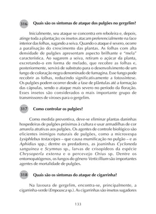 133
Quais são os sintomas de ataque dos pulgões no gergelim?
Inicialmente, seu ataque se concentra em reboleira e, depois,
atinge toda a plantação; os insetos atacam preferencialmente na face
interior das folhas, sugando a seiva. Quando o ataque é severo, ocorre
a paralisação do crescimento das plantas. As folhas com alta
densidade de pulgões apresentam aspecto brilhante e “mela”
característica. Ao sugarem a seiva, retiram o açúcar da planta,
excretando-o em forma de melado, que recobre as folhas e,
posteriormente, servirá de substrato para o desenvolvimento de um
fungo de coloração negra denominado de fumagina. Esse fungo pode
recobrir as folhas, reduzindo significativamente a fotossíntese.
Os pulgões podem ocorrer desde a fase de plântulas até a formação
das cápsulas, sendo o ataque mais severo no período da floração.
Esses insetos são considerados o mais importante grupo de
transmissores de viroses para o gergelim.
Como controlar os pulgões?
Como medida preventiva, deve-se eliminar plantas daninhas
hospedeiras de pulgões próximas à cultura e usar armadilhas de cor
amarela atrativas aos pulgões. Os agentes de controle biológico são
eficientes inimigos naturais de pulgões, como a microvespa
Lysiphlebus testaceipes – que causa mumificação no pulgão – e as
Aphidius spp.; dentre os predadores, as joaninhas Cycloneda
sanguinea e Scymnus sp., larvas de crisopídeos da espécie
Chrysoperla externa e o percevejo Orius sp. Dentre os
entomopatógenos, os fungos do gênero Verticillium são importantes
agentes de mortalidade de pulgões.
Quais são os sintomas do ataque de cigarrinha?
Na lavoura de gergelim, encontra-se, principalmente, a
cigarrinha-verde (Empoasca sp.). As cigarrinhas são insetos sugadores
282316
282317
282318
 