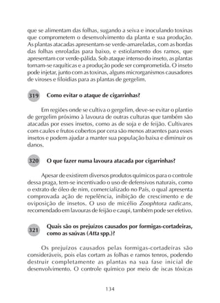 134
que se alimentam das folhas, sugando a seiva e inoculando toxinas
que comprometem o desenvolvimento da planta e sua produção.
As plantas atacadas apresentam-se verde-amareladas, com as bordas
das folhas enroladas para baixo, e estiolamento dos ramos, que
apresentam cor verde-pálida. Sob ataque intenso do inseto, as plantas
tornam-se raquíticas e a produção pode ser comprometida. O inseto
pode injetar, junto com as toxinas, alguns microrganismos causadores
de viroses e filoidias para as plantas de gergelim.
Como evitar o ataque de cigarrinhas?
Em regiões onde se cultiva o gergelim, deve-se evitar o plantio
de gergelim próximo à lavoura de outras culturas que também são
atacadas por esses insetos, como as de soja e de feijão. Cultivares
com caules e frutos cobertos por cera são menos atraentes para esses
insetos e podem ajudar a manter sua população baixa e diminuir os
danos.
O que fazer numa lavoura atacada por cigarrinhas?
Apesar de existirem diversos produtos químicos para o controle
dessa praga, tem-se incentivado o uso de defensivos naturais, como
o extrato de óleo de nim, comercializado no País, o qual apresenta
comprovada ação de repelência, inibição de crescimento e de
oviposição de insetos. O uso de micélio Zoophtora radicans,
recomendado em lavouras de feijão e caupi, também pode ser efetivo.
Quais são os prejuízos causados por formigas-cortadeiras,
como as saúvas (Atta spp.)?
Os prejuízos causados pelas formigas-cortadeiras são
consideráveis, pois elas cortam as folhas e ramos tenros, podendo
destruir completamente as plantas na sua fase inicial de
desenvolvimento. O controle químico por meio de iscas tóxicas
282319
282320
282321
 