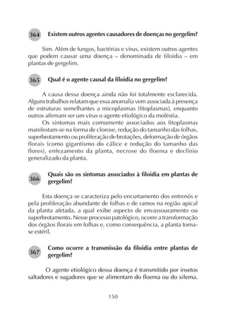 150
Existem outros agentes causadores de doenças no gergelim?
Sim. Além de fungos, bactérias e vírus, existem outros agentes
que podem causar uma doença – denominada de filoidia – em
plantas de gergelim.
Qual é o agente causal da filoidia no gergelim?
A causa dessa doença ainda não foi totalmente esclarecida.
Alguns trabalhos relatam que essa anomalia vem associada à presença
de estruturas semelhantes a micoplasmas (fitoplasmas), enquanto
outros afirmam ser um vírus o agente etiológico da moléstia.
Os sintomas mais comumente associados aos fitoplasmas
manifestam-se na forma de clorose, redução do tamanho das folhas,
superbrotamento ou proliferação de brotações, deformação de órgãos
florais (como gigantismo do cálice e redução do tamanho das
flores), enfezamento da planta, necrose do floema e declínio
generalizado da planta.
Quais são os sintomas associados à filoidia em plantas de
gergelim?
Esta doença se caracteriza pelo encurtamento dos entrenós e
pela proliferação abundante de folhas e de ramos na região apical
da planta afetada, a qual exibe aspecto de envassouramento ou
superbrotamento. Nesse processo patológico, ocorre a transformação
dos órgãos florais em folhas e, como consequência, a planta torna-
se estéril.
Como ocorre a transmissão da filoidia entre plantas de
gergelim?
O agente etiológico dessa doença é transmitido por insetos
saltadores e sugadores que se alimentam do floema ou do xilema.
282364
282365
282366
282367
 