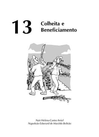 13 Colheita e
Beneficiamento
Nair Helena Castro Arriel
Napoleão Esberard de Macêdo Beltrão
 