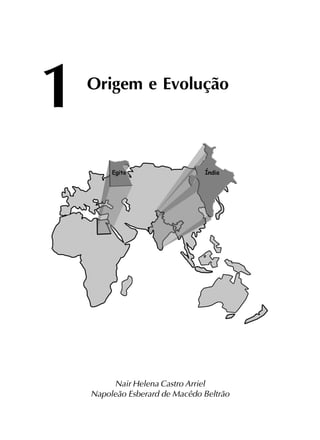 Origem e Evolução
1
Nair Helena Castro Arriel
Napoleão Esberard de Macêdo Beltrão
 