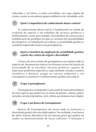 20
cultivadas e, na China, o centro secundário, em cujas regiões do
centro e oeste se encontram grupos endêmicos de variedades anãs.
Qual é a importância do conhecimento desses centros?
O conhecimento desses locais é fundamental no estudo de
evolução da espécie e em trabalhos de recursos genéticos e
melhoramento, como, por exemplo, nos trabalhos de conservação e
multiplicação de genótipos em que os cientistas têm possibilidades
de enriquecer, via introduções ou coletas, a variabilidade genética e
constituir importantes bancos de germoplasma.
Qual é o benefício da ampliação da variabilidade genética
a partir dos centros de origem e diversidade?
A busca de novas fontes de germoplasma nas regiões onde as
espécies de Sesamum são nativas ou silvestres ocorre em função da
necessidade de se encontrar recursos genéticos capazes de
solucionar problemas específicos, especialmente visando a conferir
resistência a doenças, pragas ou estresse ambiental e, em
consequência, promover o melhoramento genético da espécie.
O que é germoplasma?
Germoplasma corresponde à soma total de material hereditário
de uma espécie que poderá ser na forma de plantas, anteras, pólen,
sementes, tecidos (meristema, calo), células ou estruturas mais simples.
O que é um Banco de Germoplasma?
Bancos de Germoplasma são locais onde se armazena a
diversidade genética de uma dada espécie. Na realidade, é um banco
de alelos (formas alternativas de um mesmo gene) que podem ser
usados no desenvolvimento de novas cultivares. A formação e
7
8
9
10
 