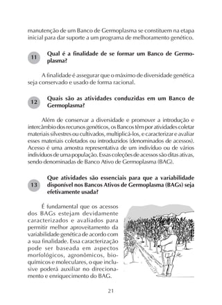 21
manutenção de um Banco de Germoplasma se constituem na etapa
inicial para dar suporte a um programa de melhoramento genético.
Qual é a finalidade de se formar um Banco de Germo-
plasma?
A finalidade é assegurar que o máximo de diversidade genética
seja conservado e usado de forma racional.
Quais são as atividades conduzidas em um Banco de
Germoplasma?
Além de conservar a diversidade e promover a introdução e
intercâmbiodosrecursosgenéticos,osBancostêmporatividadescoletar
materiais silvestres ou cultivados, multiplicá-los, e caracterizar e avaliar
esses materiais coletados ou introduzidos (denominados de acessos).
Acesso é uma amostra representativa de um indivíduo ou de vários
indivíduosdeumapopulação.Essascoleçõesdeacessossãoditasativas,
sendo denominadas de Banco Ativo de Germoplasma (BAG).
Que atividades são essenciais para que a variabilidade
disponível nos Bancos Ativos de Germoplasma (BAGs) seja
efetivamente usada?
É fundamental que os acessos
dos BAGs estejam devidamente
caracterizados e avaliados para
permitir melhor aproveitamento da
variabilidade genética de acordo com
a sua finalidade. Essa caracterização
pode ser baseada em aspectos
morfológicos, agronômicos, bio-
químicos e moleculares, o que inclu-
sive poderá auxiliar no direciona-
mento e enriquecimento do BAG.
11
12
13
 