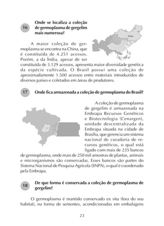 23
Onde se localiza a coleção
de germoplasma de gergelim
mais numerosa?
A maior coleção de ger-
moplasma se encontra na China, que
é constituída de 4.251 acessos.
Porém, a da Índia, apesar de ser
constituída de 3.129 acessos, apresenta maior diversidade genética
da espécie cultivada. O Brasil possui uma coleção de
aproximadamente 1.500 acessos entre materiais introduzidos de
diversos países e coletados em áreas de produtores.
Onde fica armazenada a coleção de germoplasma do Brasil?
A coleção de germoplasma
de gergelim é armazenada na
Embrapa Recursos Genéticos
e Biotecnologia (Cenargen),
unidade descentralizada da
Embrapa situada na cidade de
Brasília, que gerencia um sistema
nacional de curadoria de re-
cursos genéticos, o qual está
ligado com mais de 235 bancos
de germoplasma, onde mais de 250 mil amostras de plantas, animais
e microrganismos são conservadas. Esses bancos são partes do
Sistema Nacional de Pesquisa Agrícola (SNPA), o qual é coordenado
pela Embrapa.
De que forma é conservada a coleção de germoplasma de
gergelim?
O germoplasma é mantido conservado ex situ (fora do seu
habitat), na forma de sementes, acondicionadas em embalagens
16
17
18
 