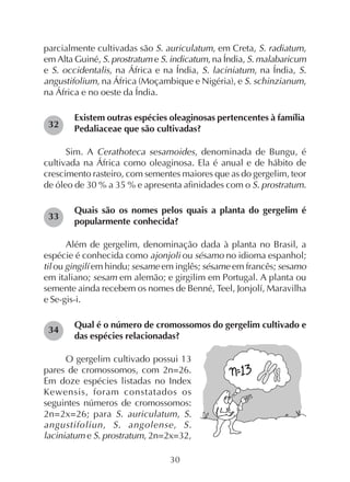 30
parcialmente cultivadas são S. auriculatum, em Creta, S. radiatum,
em Alta Guiné, S. prostratum e S. indicatum, na Índia, S. malabaricum
e S. occidentalis, na África e na Índia, S. laciniatum, na Índia, S.
angustifolium, na África (Moçambique e Nigéria), e S. schinzianum,
na África e no oeste da Índia.
Existem outras espécies oleaginosas pertencentes à família
Pedaliaceae que são cultivadas?
Sim. A Cerathoteca sesamoides, denominada de Bungu, é
cultivada na África como oleaginosa. Ela é anual e de hábito de
crescimento rasteiro, com sementes maiores que as do gergelim, teor
de óleo de 30 % a 35 % e apresenta afinidades com o S. prostratum.
Quais são os nomes pelos quais a planta do gergelim é
popularmente conhecida?
Além de gergelim, denominação dada à planta no Brasil, a
espécie é conhecida como ajonjoli ou sésamo no idioma espanhol;
til ou gingilí em hindu; sesame em inglês; sésame em francês; sesamo
em italiano; sesam em alemão; e girgilim em Portugal. A planta ou
semente ainda recebem os nomes de Benné, Teel, Jonjolí, Maravilha
e Se-gis-i.
Qual é o número de cromossomos do gergelim cultivado e
das espécies relacionadas?
O gergelim cultivado possui 13
pares de cromossomos, com 2n=26.
Em doze espécies listadas no Index
Kewensis, foram constatados os
seguintes números de cromossomos:
2n=2x=26; para S. auriculatum, S.
angustifoliun, S. angolense, S.
laciniatum e S. prostratum, 2n=2x=32,
32
33
34
 