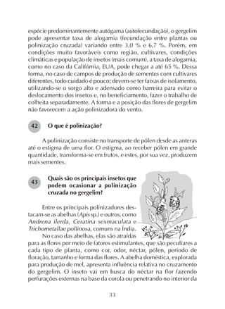 33
espécie predominantemente autógama (autofecundação), o gergelim
pode apresentar taxa de alogamia (fecundação entre plantas ou
polinização cruzada) variando entre 3,0 % e 6,7 %. Porém, em
condições muito favoráveis como região, cultivares, condições
climáticas e população de insetos (mais comum), a taxa de alogamia,
como no caso da Califórnia, EUA, pode chegar a até 65 %. Dessa
forma, no caso de campos de produção de sementes com cultivares
diferentes, todo cuidado é pouco; devem-se ter faixas de isolamento,
utilizando-se o sorgo alto e adensado como barreira para evitar o
deslocamento dos insetos e, no beneficiamento, fazer o trabalho de
colheita separadamente. A forma e a posição das flores de gergelim
não favorecem a ação polinizadora do vento.
O que é polinização?
A polinização consiste no transporte de pólen desde as anteras
até o estigma de uma flor. O estigma, ao receber pólen em grande
quantidade, transforma-se em frutos, e estes, por sua vez, produzem
mais sementes.
Quais são os principais insetos que
podem ocasionar a polinização
cruzada no gergelim?
Entre os principais polinizadores des-
tacam-se as abelhas (Apis sp.) e outros, como
Andrena ilerda, Ceratina sexmaculata e
Trichometallae pollinosa, comuns na Índia.
No caso das abelhas, elas são atraídas
para as flores por meio de fatores estimulantes, que são peculiares a
cada tipo de planta, como cor, odor, néctar, pólen, período de
floração, tamanho e forma das flores. A abelha doméstica, explorada
para produção de mel, apresenta influência relativa no cruzamento
do gergelim. O inseto vai em busca do néctar na flor fazendo
perfurações externas na base da corola ou penetrando no interior da
43
42
 
