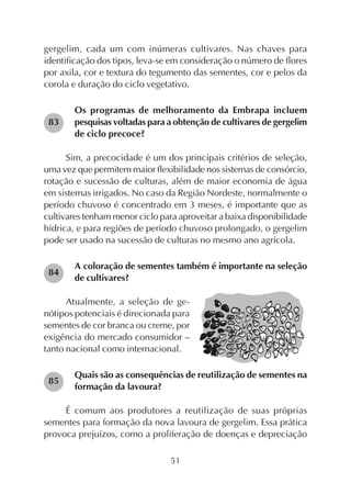 51
gergelim, cada um com inúmeras cultivares. Nas chaves para
identificação dos tipos, leva-se em consideração o número de flores
por axila, cor e textura do tegumento das sementes, cor e pelos da
corola e duração do ciclo vegetativo.
Os programas de melhoramento da Embrapa incluem
pesquisas voltadas para a obtenção de cultivares de gergelim
de ciclo precoce?
Sim, a precocidade é um dos principais critérios de seleção,
uma vez que permitem maior flexibilidade nos sistemas de consórcio,
rotação e sucessão de culturas, além de maior economia de água
em sistemas irrigados. No caso da Região Nordeste, normalmente o
período chuvoso é concentrado em 3 meses, é importante que as
cultivares tenham menor ciclo para aproveitar a baixa disponibilidade
hídrica, e para regiões de período chuvoso prolongado, o gergelim
pode ser usado na sucessão de culturas no mesmo ano agrícola.
A coloração de sementes também é importante na seleção
de cultivares?
Atualmente, a seleção de ge-
nótipos potenciais é direcionada para
sementes de cor branca ou creme, por
exigência do mercado consumidor –
tanto nacional como internacional.
Quais são as consequências de reutilização de sementes na
formação da lavoura?
É comum aos produtores a reutilização de suas próprias
sementes para formação da nova lavoura de gergelim. Essa prática
provoca prejuízos, como a proliferação de doenças e depreciação
83
84
85
 