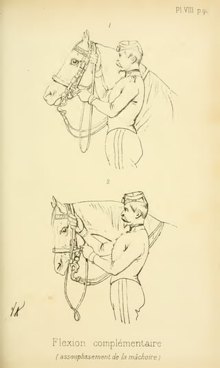 Pl.VIll pcjo
//
F lexion complémentaire
{ assouplissement de la mâchoire
 