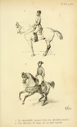 PlXll.p.i62
ïÂ^
1. Le rassembler poussé dans ses dernières ImiCes
2 . Une descente de wam sur la demi -hanche .
 