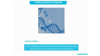 Geriatria epidemiologia