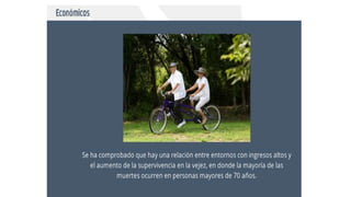 Geriatria epidemiologia