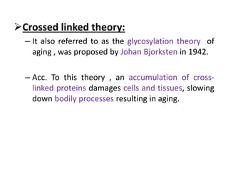 Crossed linked theory:
– It also referred to as the glycosylation theory of
aging , was proposed by Johan Bjorksten in 1942.
– Acc. To this theory , an accumulation of cross-
linked proteins damages cells and tissues, slowing
down bodily processes resulting in aging.
 