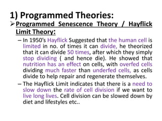 1) Programmed Theories:
Programmed Senescence Theory / Hayflick
Limit Theory:
– In 1950’s Hayflick Suggested that the hum...