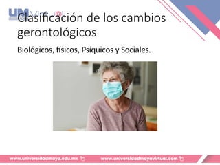 Clasificación de los cambios
gerontológicos
Biológicos, físicos, Psíquicos y Sociales.
 