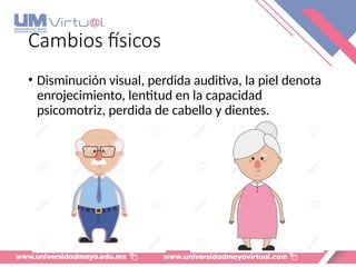 Cambios físicos
• Disminución visual, perdida auditiva, la piel denota
enrojecimiento, lentitud en la capacidad
psicomotriz, perdida de cabello y dientes.
 
