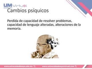Cambios psíquicos
Perdida de capacidad de resolver problemas,
capacidad de lenguaje alteradas, alteraciones de la
memoria.
 