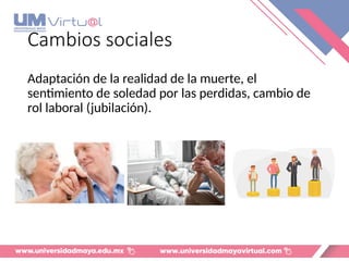 Cambios sociales
Adaptación de la realidad de la muerte, el
sentimiento de soledad por las perdidas, cambio de
rol laboral (jubilación).
 