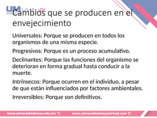 Cambios que se producen en el
envejecimiento
Universales: Porque se producen en todos los
organismos de una misma especie.
Progresivos: Porque es un proceso acumulativo.
Declinantes: Porque las funciones del organismo se
deterioran en forma gradual hasta conducir a la
muerte.
Intrínsecos: Porque ocurren en el individuo, a pesar
de que están influenciados por factores ambientales.
Irreversibles: Porque son definitivos.
 