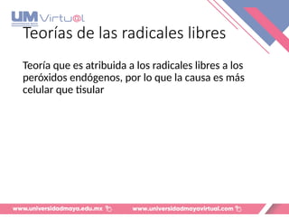 Teorías de las radicales libres
Teoría que es atribuida a los radicales libres a los
peróxidos endógenos, por lo que la causa es más
celular que tisular
 