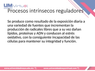 Procesos intrínsecos reguladores
Se produce como resultado de la exposición diaria a
una variedad de fuentes que incrementan la
producción de radicales libres que a su vez dañan
lípidos, proteínas y ADN y conducen al estrés
oxidativo, con la consiguiente incapacidad de las
células para mantener su integridad y función.
 