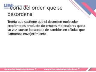 Teoría del orden que se
desordena
Teoría que sostiene que el desorden molecular
creciente es producto de errores moleculares que a
su vez causan la cascada de cambios en células que
llamamos envejecimiento
 