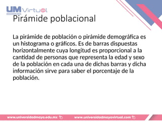 Pirámide poblacional
La pirámide de población o pirámide demográfica es
un histograma o gráficos. Es de barras dispuestas
horizontalmente cuya longitud es proporcional a la
cantidad de personas que representa la edad y sexo
de la población en cada una de dichas barras y dicha
información sirve para saber el porcentaje de la
población.
 